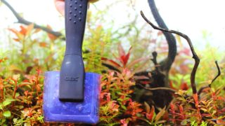 GEX　コケバスター　コケ取り　スクレーパー